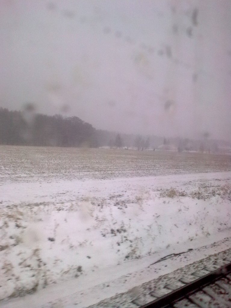 Procházky přírodou :-)