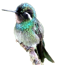 Různé💋 😉🌺