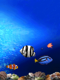 Různé💋 😉🌺