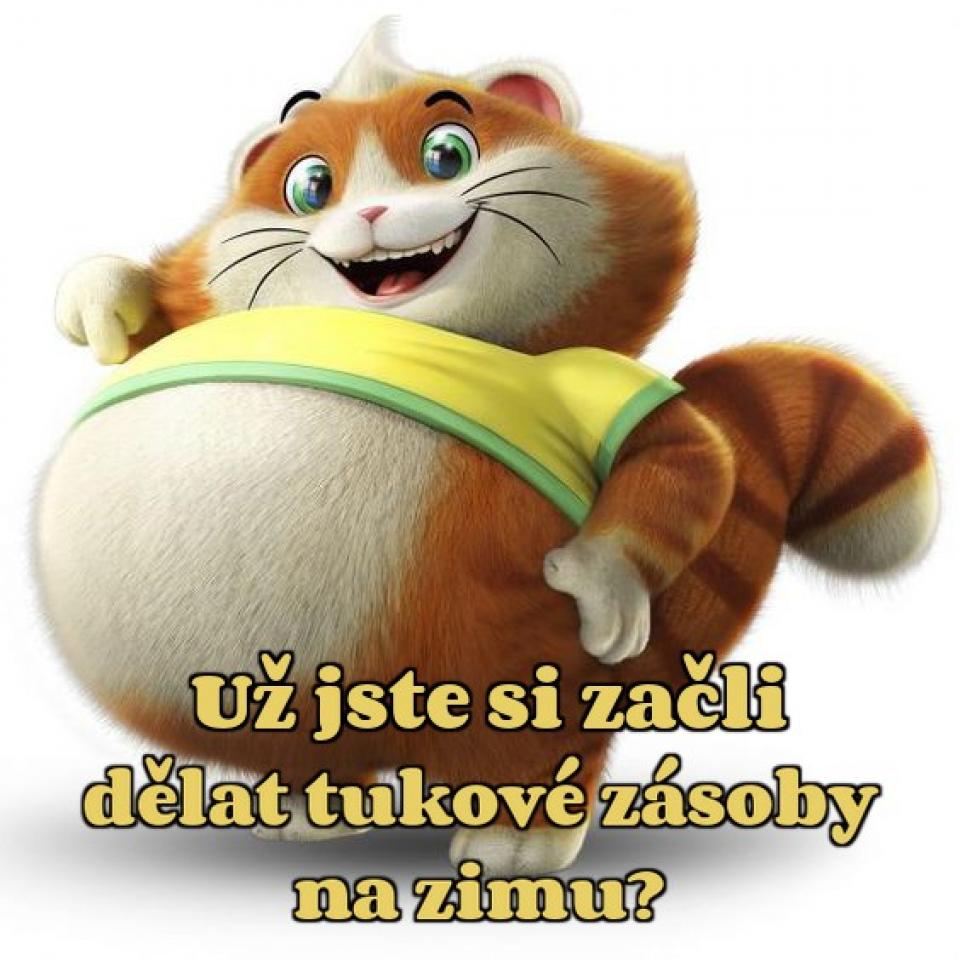 Listipad 23