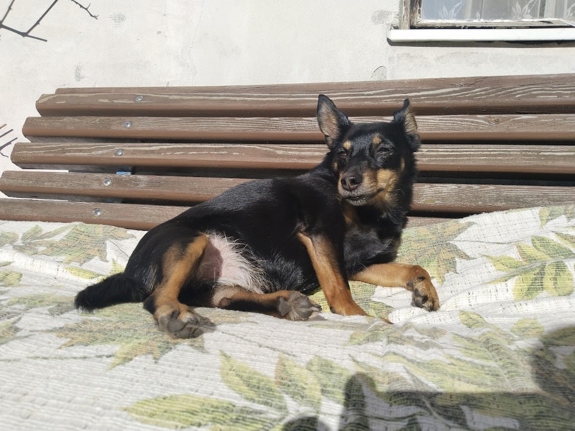 roman.schiller@seznam.cz