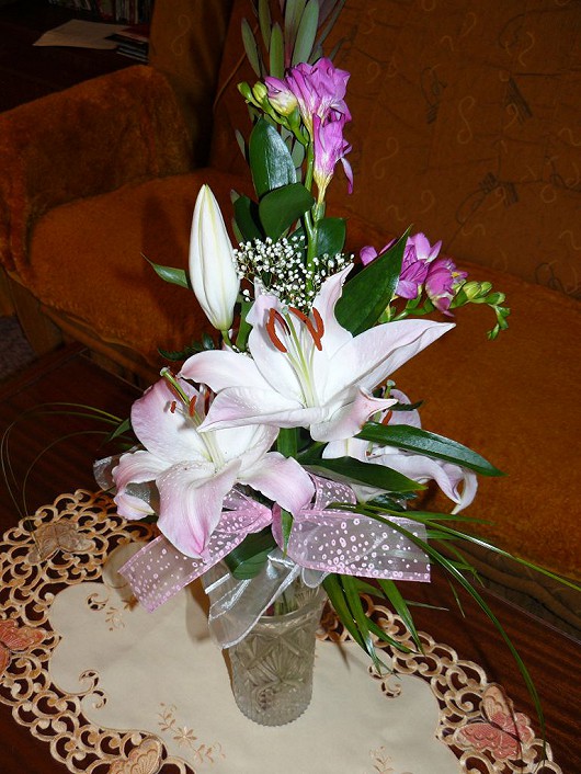 kyticky a jiné obrázky