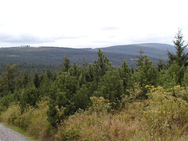 2007 Orlické hory Šerlich