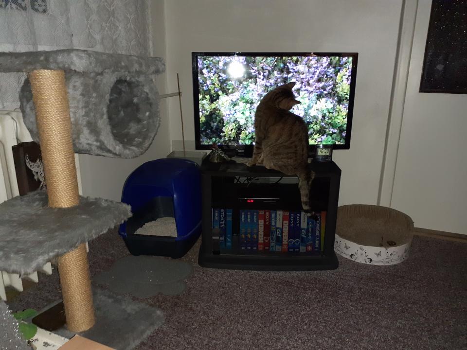 ROK 2020 já, Moureček a další   :-)