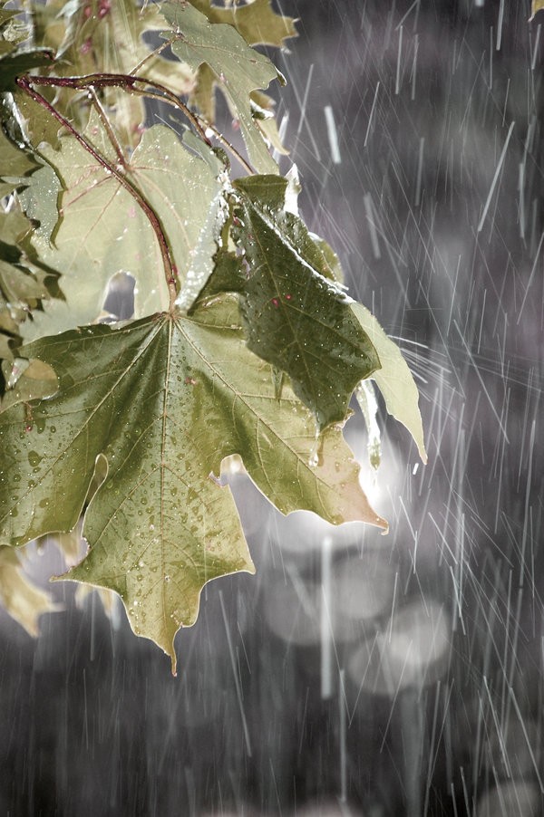 Jedině příroda ví co chce. ♥