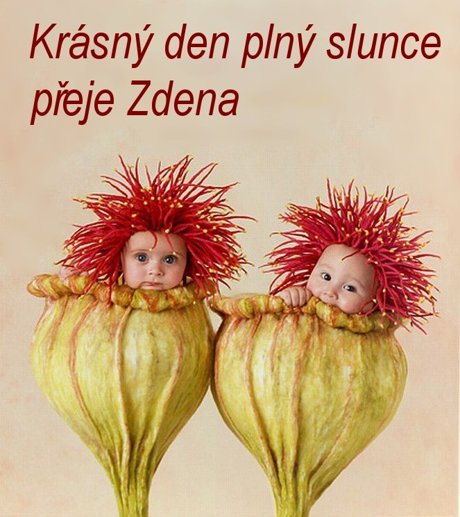 ♥OD KAMARÁDŮ♥Mám ráda dobré lidi...♥