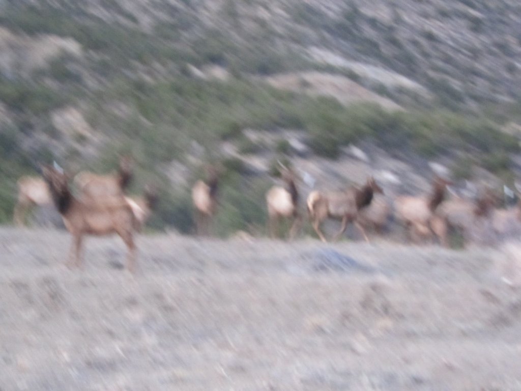 2012-03 - Taos/New Mexico
