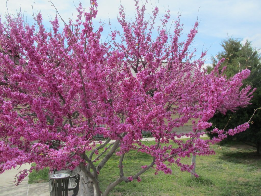 2012-03 - Taos/New Mexico