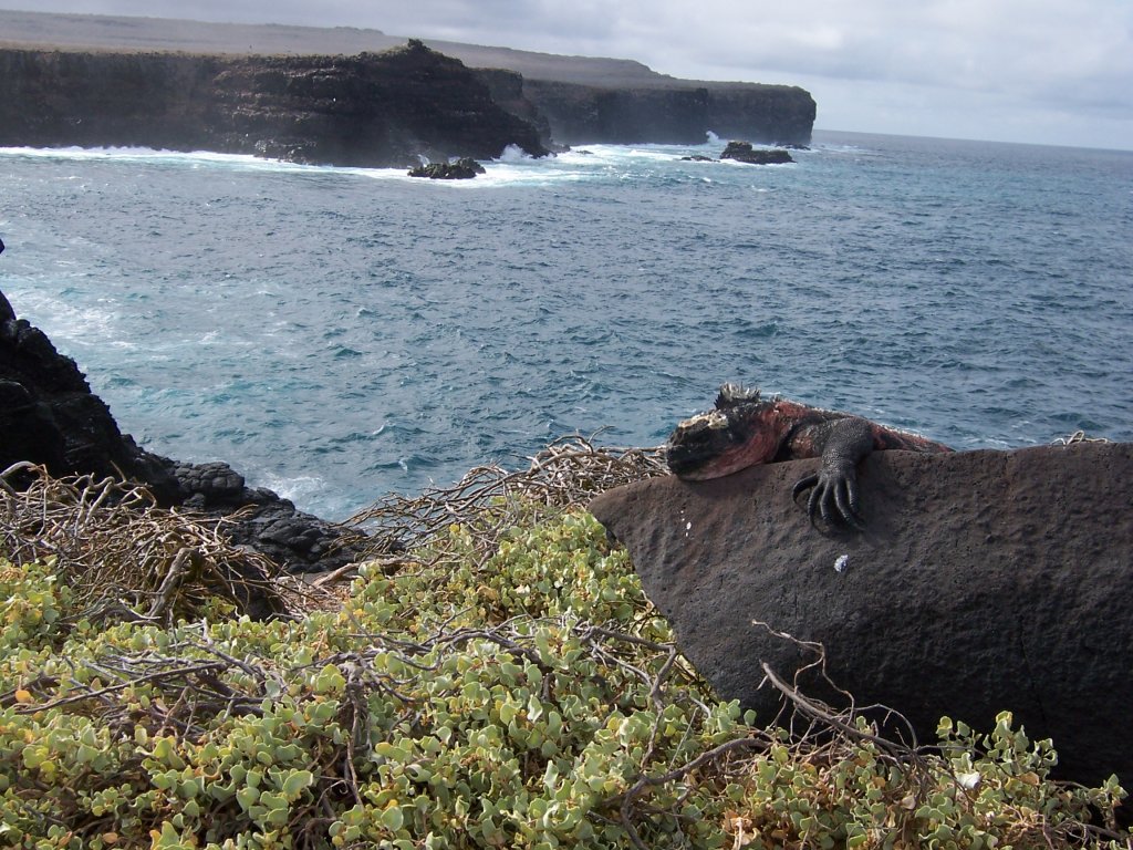 2006 Peru,Equador,Galapago