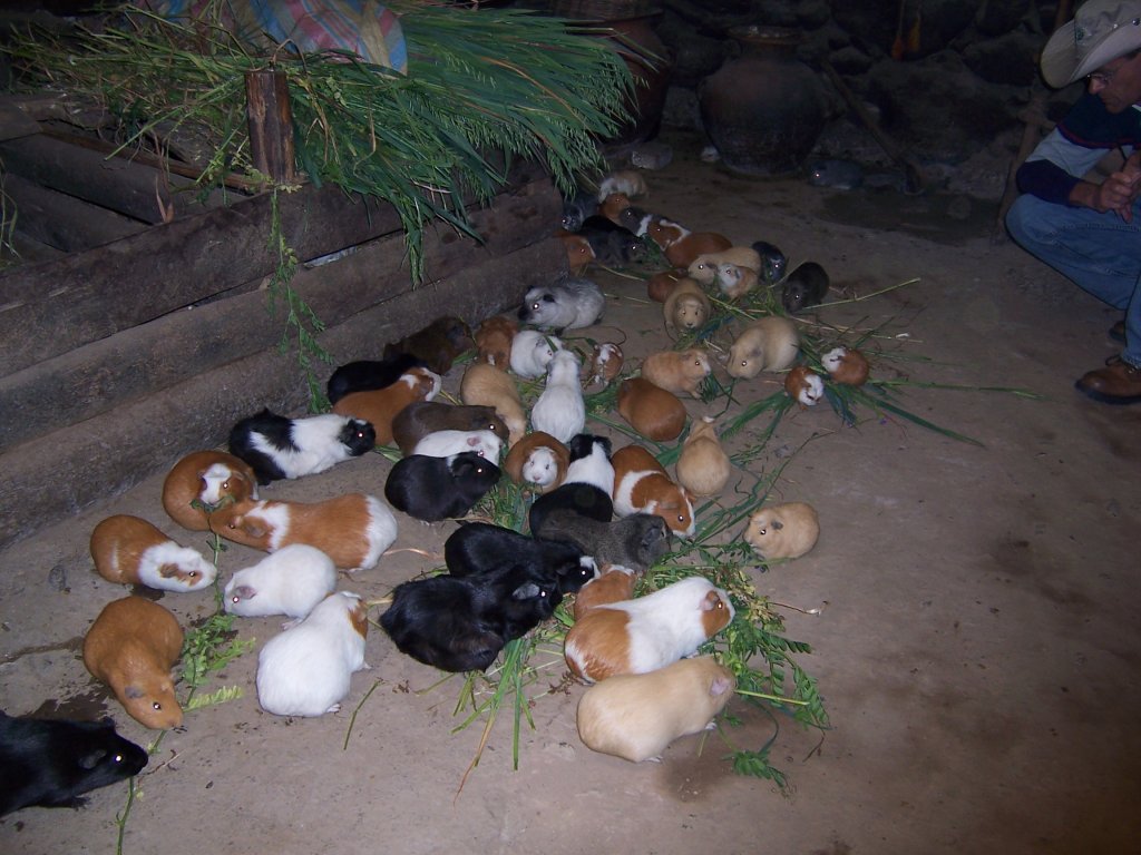 2006 Peru,Equador,Galapago