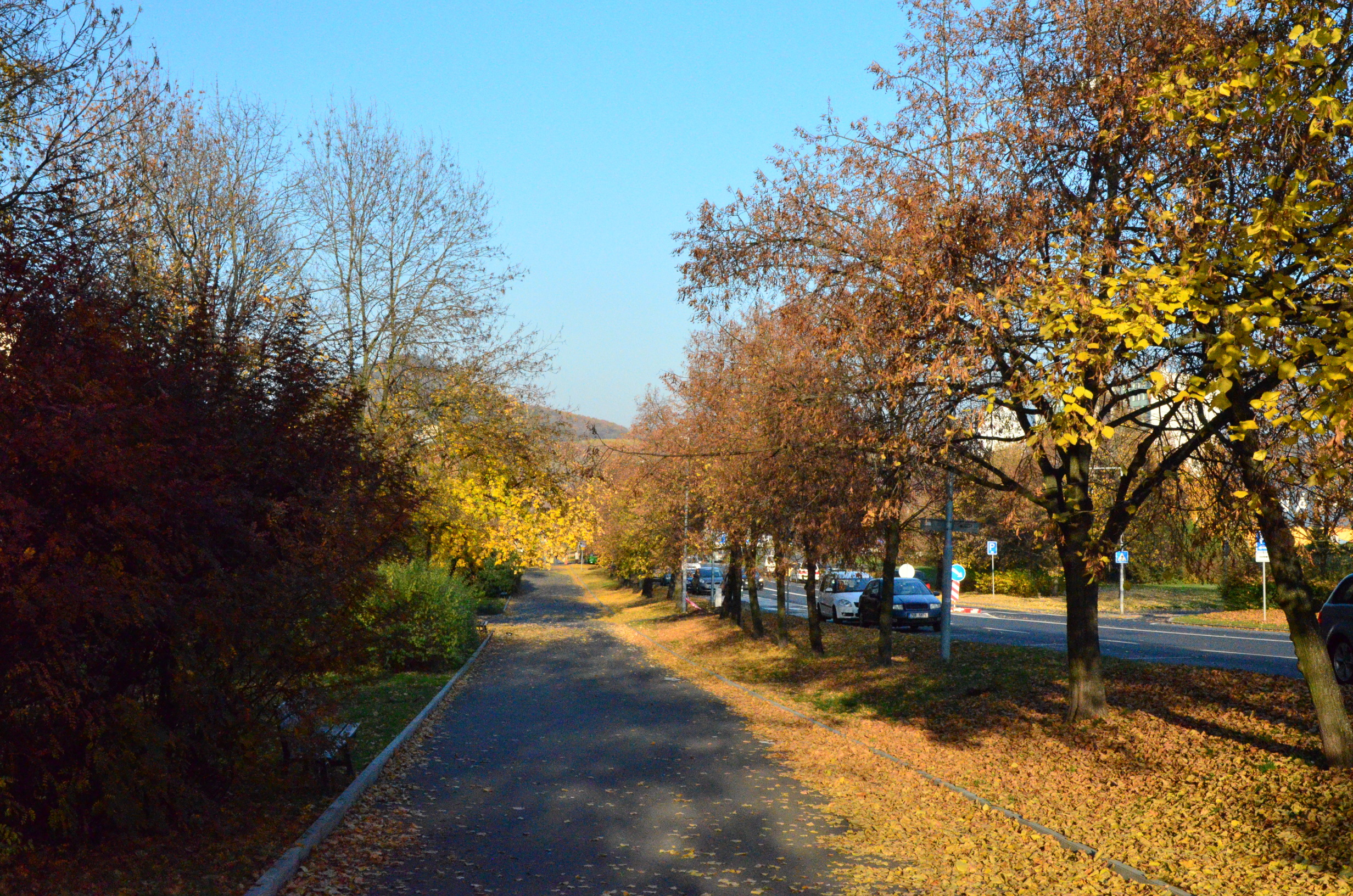 Barvy podzimu