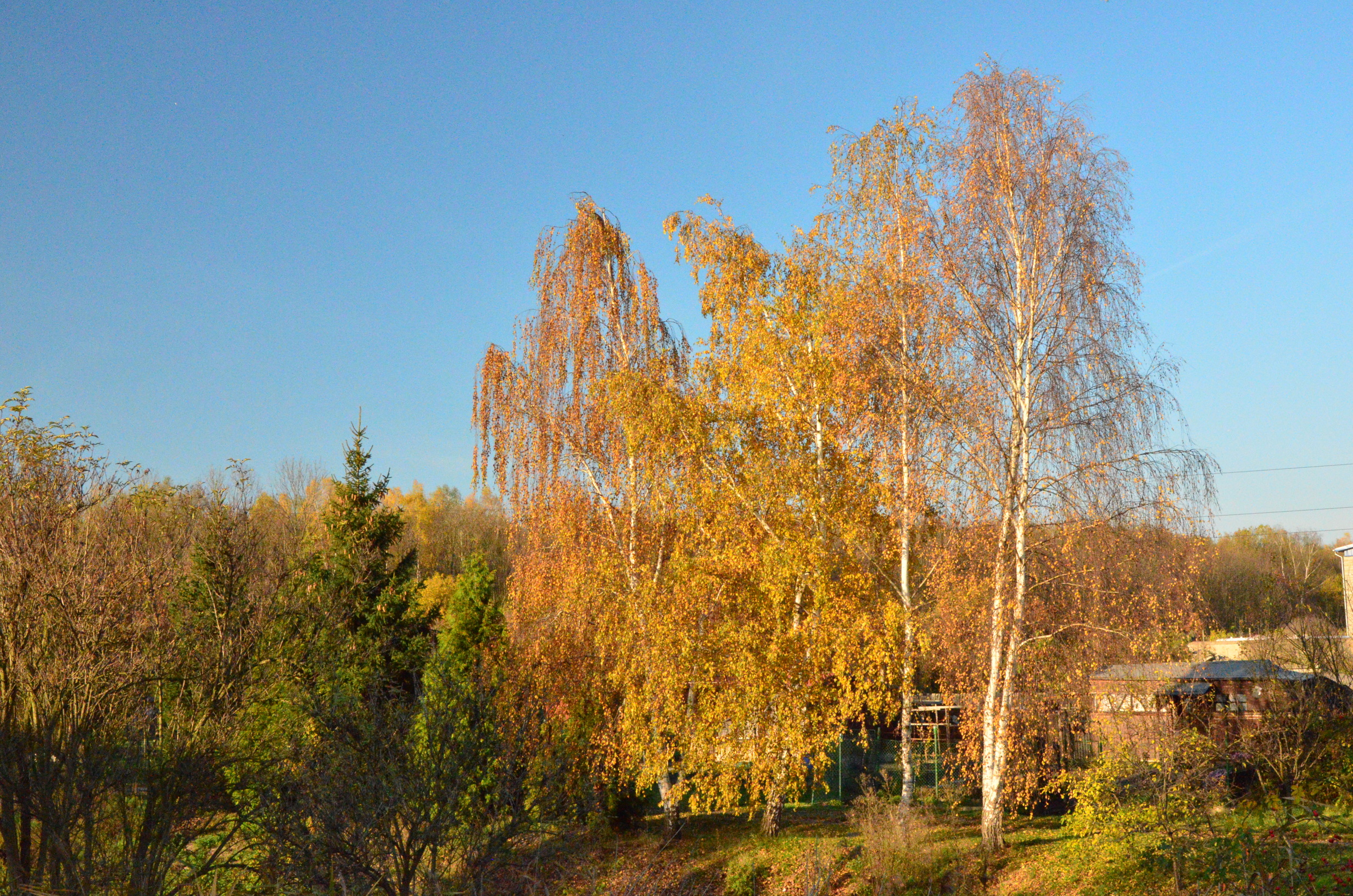 Barvy podzimu