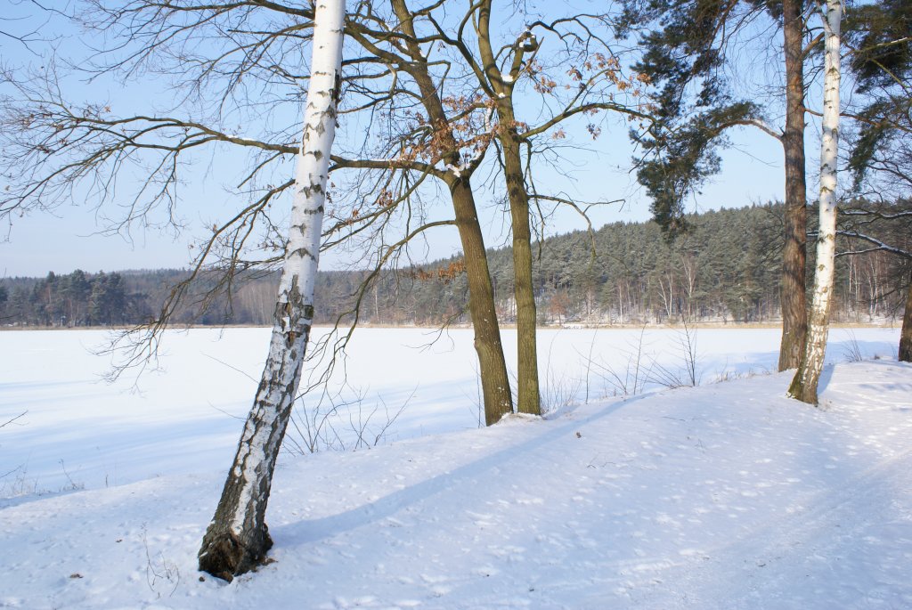 Naše nové mimi od Ježíška