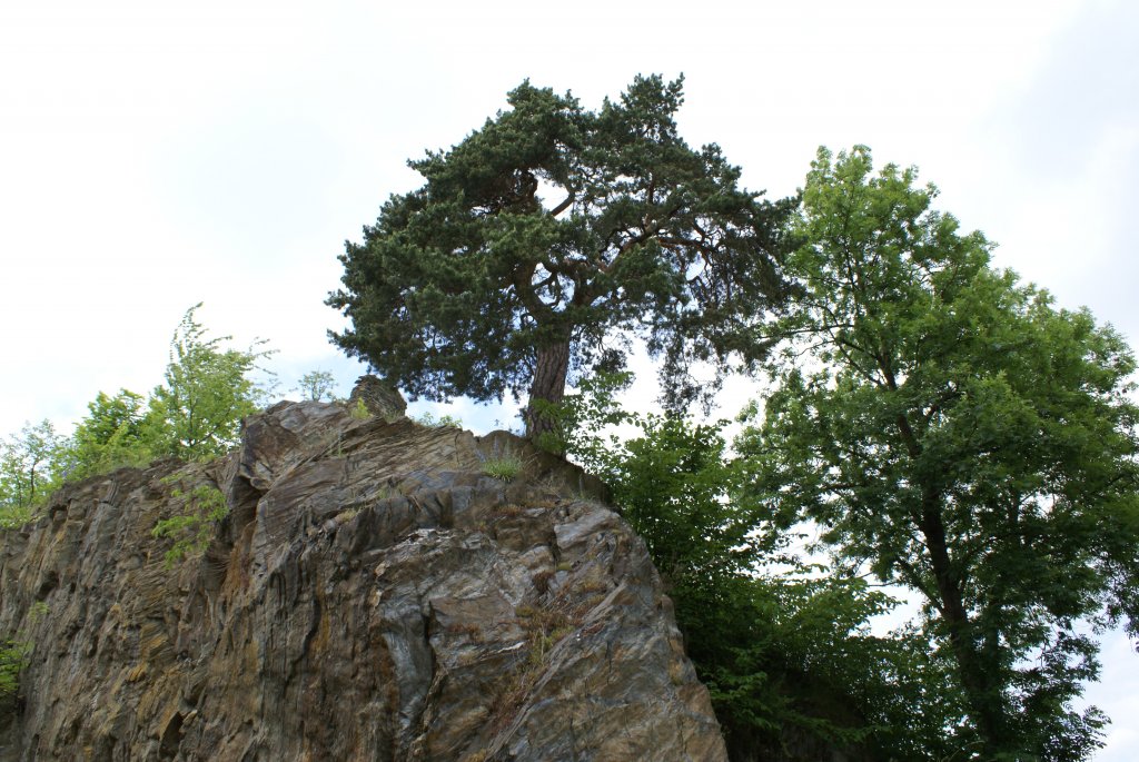 Rabštejn Nad Střelou