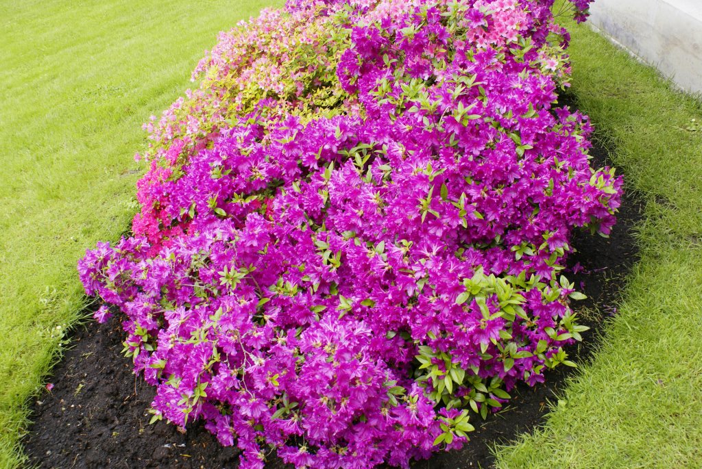 Švýcarsko-2013-Zürich