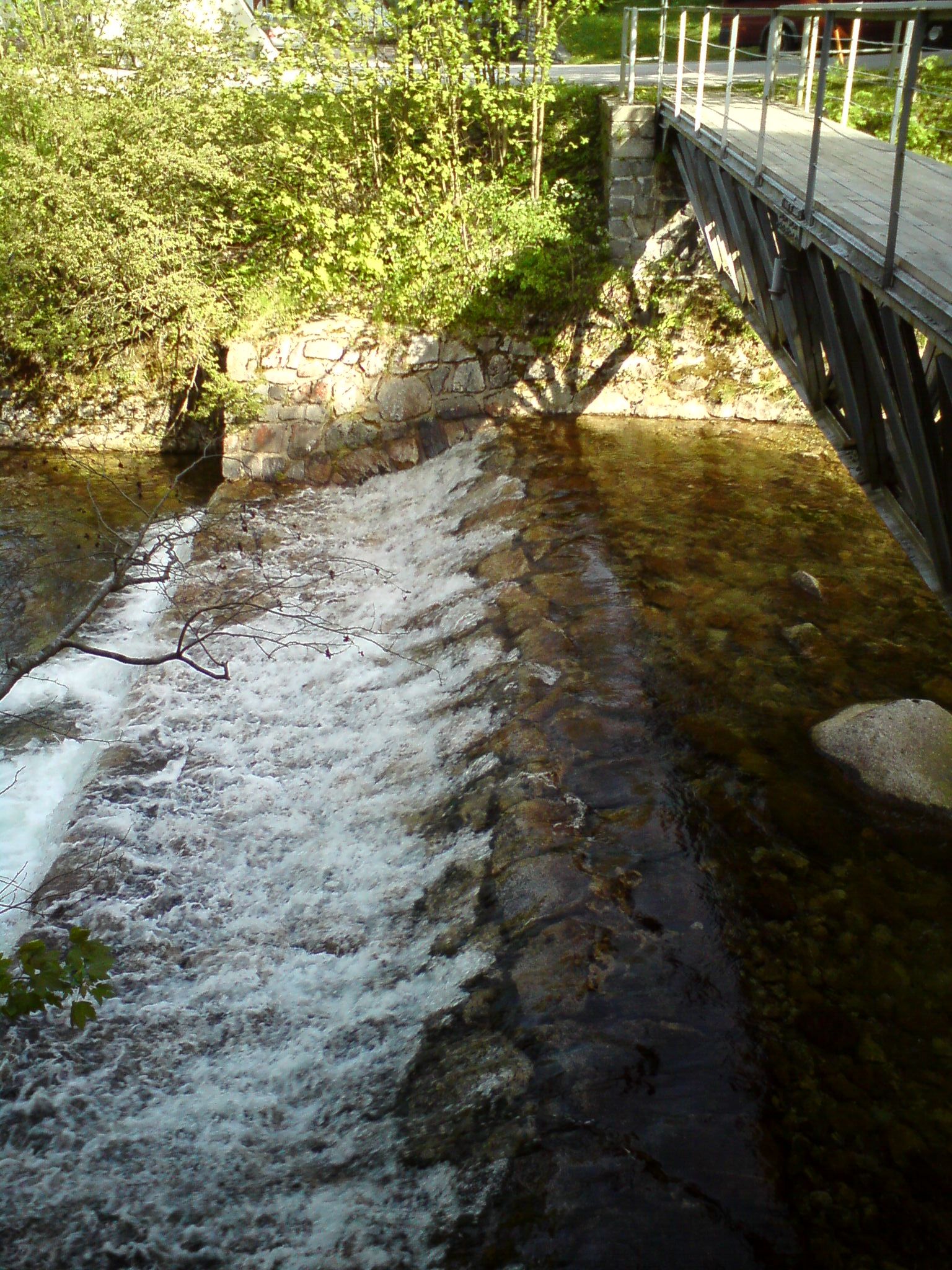 Příroda - když ji miluješ, není co řešit