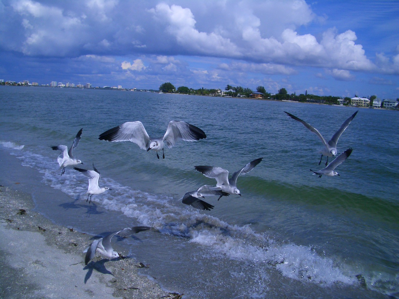 Příroda - když ji miluješ, není co řešit