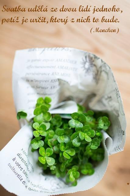 Slepičí polévka pro duši