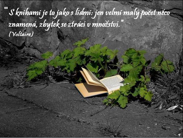 Slepičí polévka pro duši