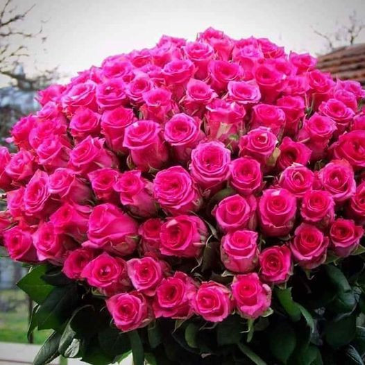💋 😉🌺