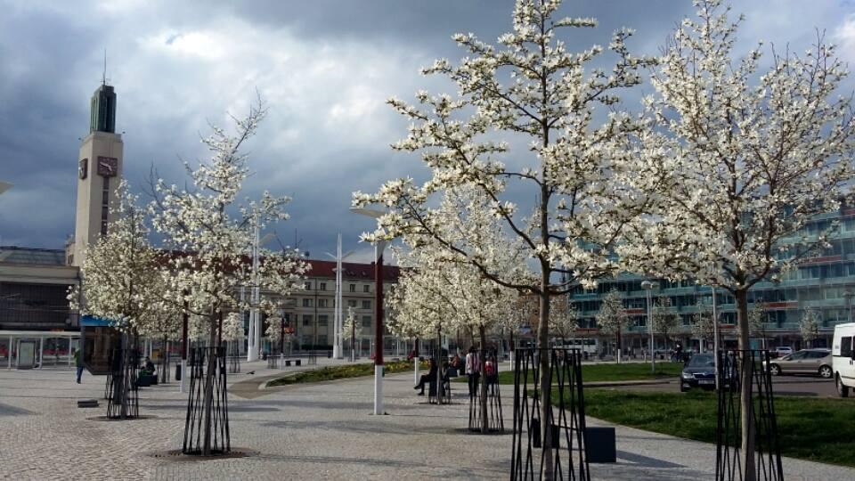 Můj milovaný Hradec - Malšovice