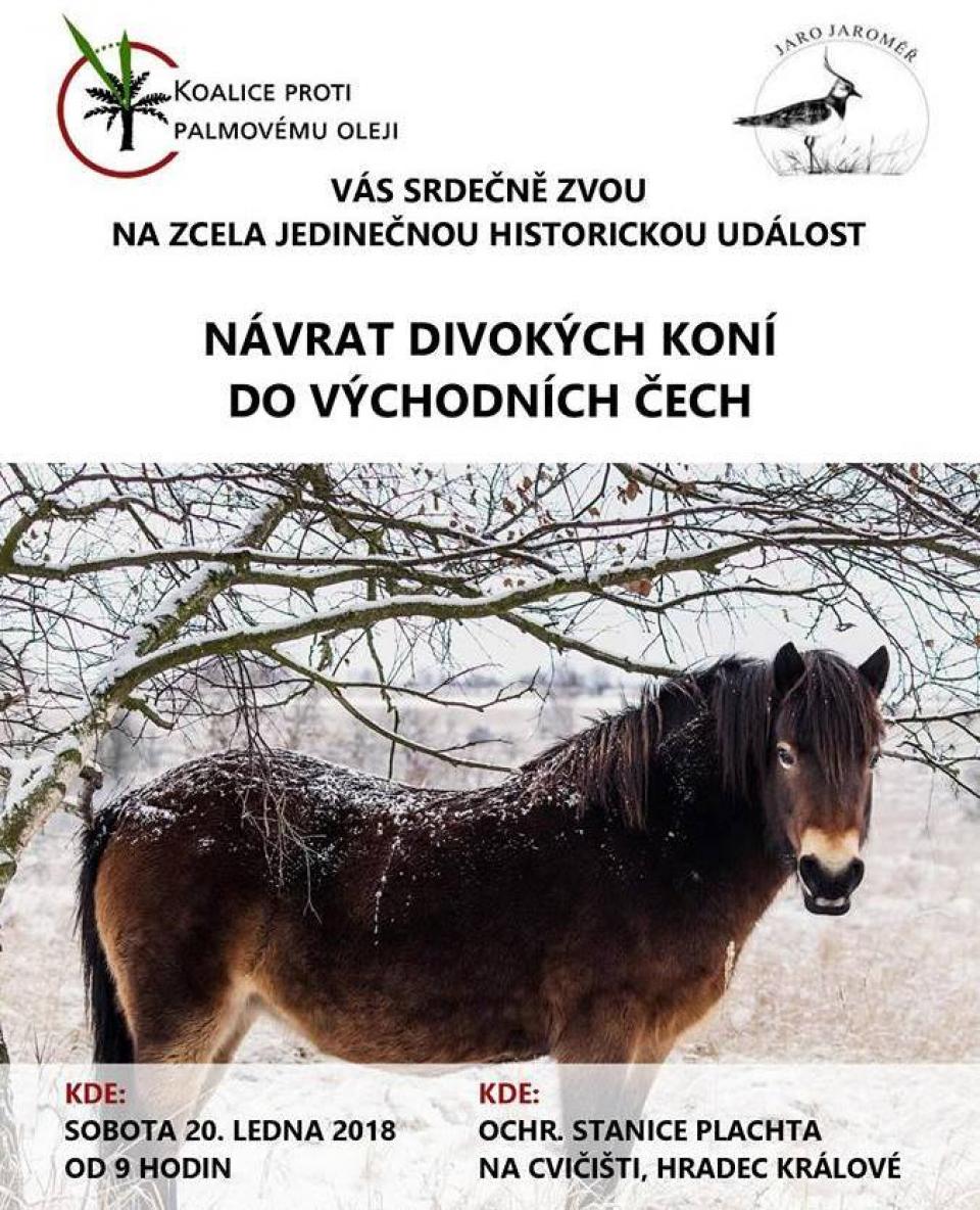 Můj milovaný Hradec - Malšovice