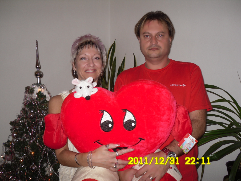 silvestr 2011