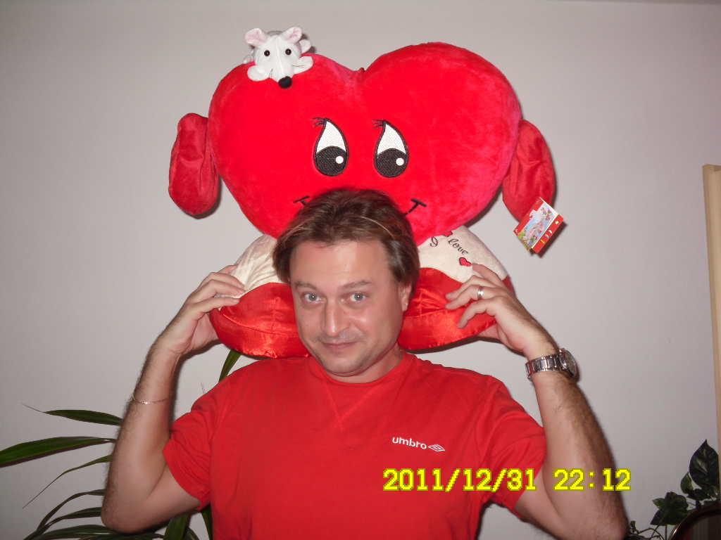 silvestr 2011