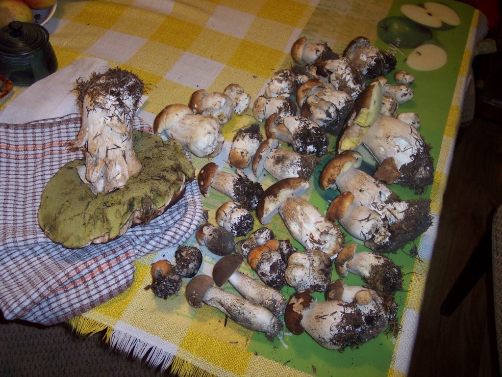 Veřejné
