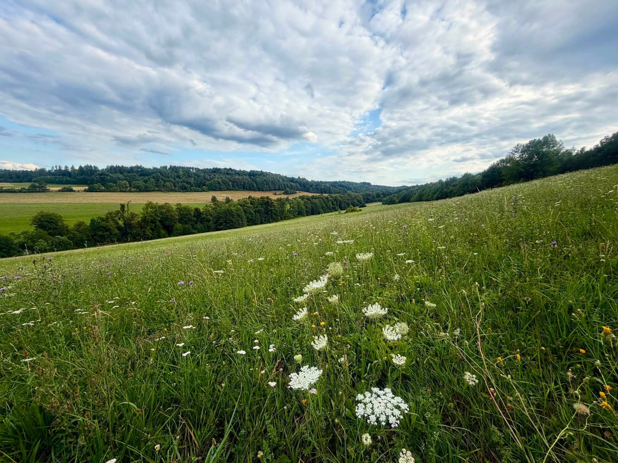 PŘÍRODA OBRÁZKY