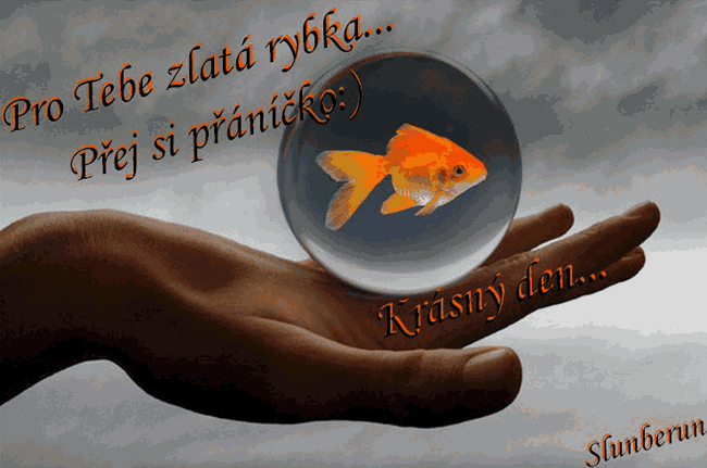 POHYBLIVÉ I NEPOHYBLIVÉ  OBRÁZKY S TEXTEM