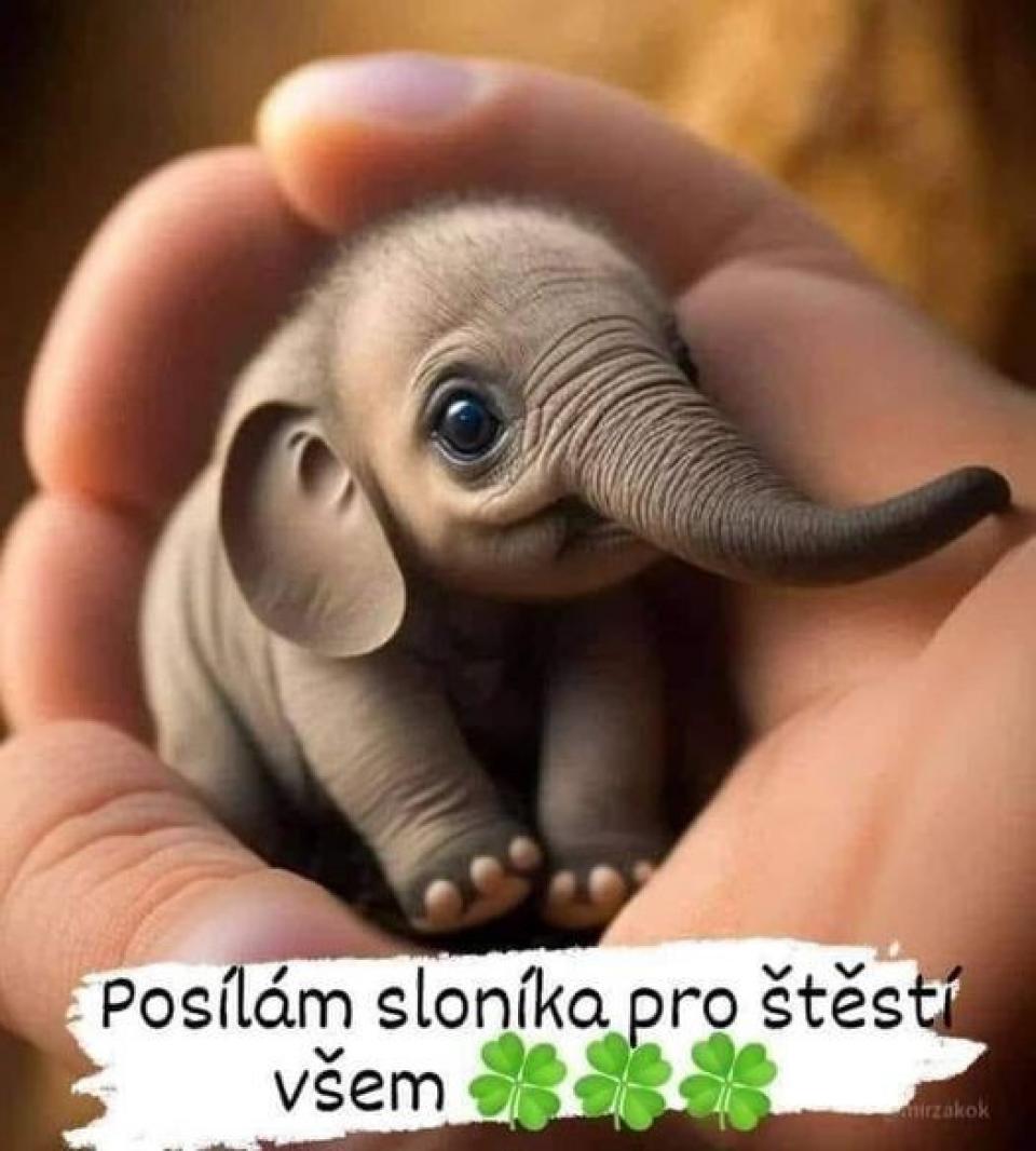 PRO ŠTĚSTÍ