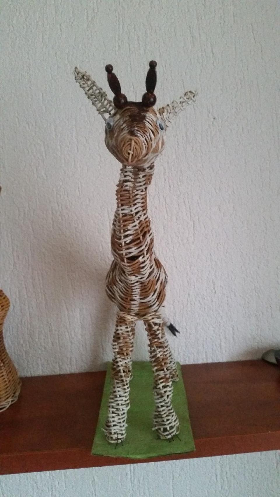 žirafa
