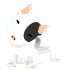 *6607*